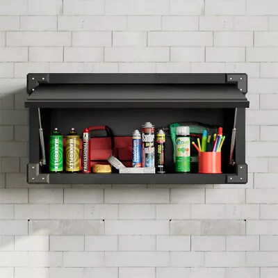 Kavey Metal Storage Cabinet 15.2'' Tall Wall-Mounted Steel Garage Cabinet • $89.99