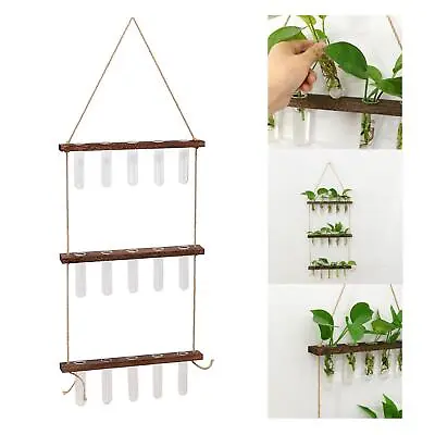 Wall Hanging Plant Propagation Station Glass Planter Test Tube Vase With Wooden • £15.79