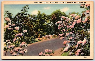Vintage Postcard Mountain Laurel On Skyline Drive Near Swift Run Gap Virginia VA • $7.63