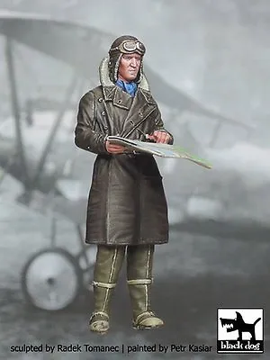 Black Dog 1/32 German Luftstreitkrafte Fighter Pilot 1914-1918 WWI No.1 F32001 • $24.63