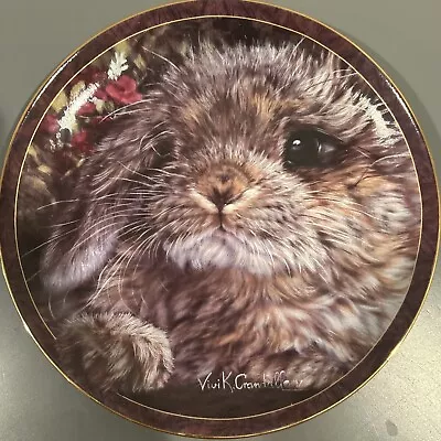 Bunny Tales MUNCHKIN Collector Plate By Vivi Crandall Bradford Exchange 1997 • $12.99