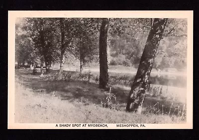 Postcard Meshoppen A Shady Spot At Myobeach Pub Sheridan Wyoming County PA • $2.50