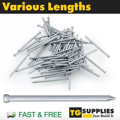 Lost Head Nails Galvanised Small Head Nails Timber Nails Joinery Nails • £4.99