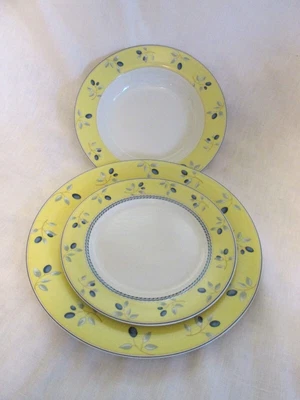 £15.73 • Buy Royal Doulton Blueberry China - 3 Piece Set / Dinner & Salad Plate/ Soup Bowl