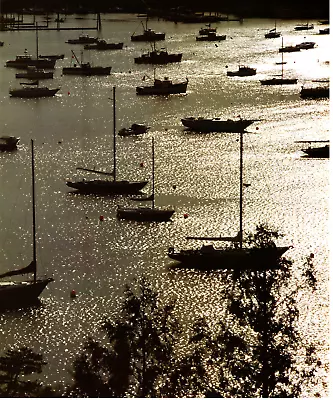 1988 Vintage Print Photo Mount Desert Island Maine Northeast Harbor Yacht Ocean • $24.88