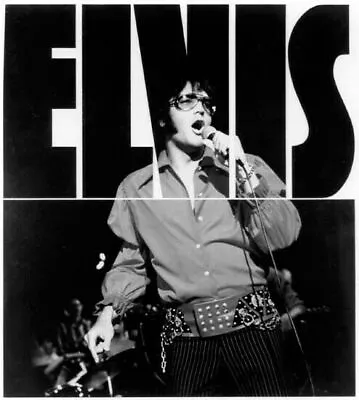 Elvis Presley In Concert Pose Circa 1970 24x30 Inch Poster • $29.99