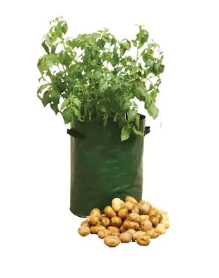 2x Plant Grow Bags Potato Fruit Vegetable Garden Planter Growing Bag 10 Gallon • £4.99