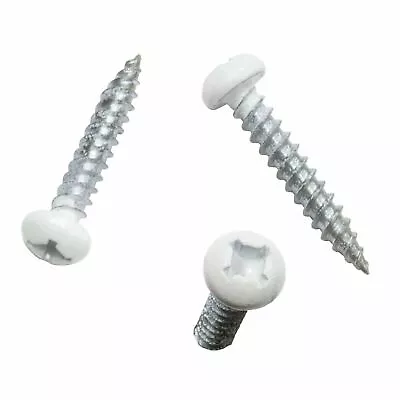 8X1  Pan Head Metal RV Screws Polar White 100 Pack • $7.95