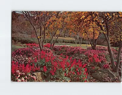 Postcard Fall In Honor Heights Park Muskogee Oklahoma USA • $4.94