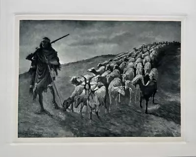 A Navajo Sheep Herder Vintage Frederic Remington Photogravure Unframed Print • $59.99