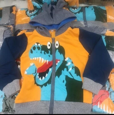 £9 • Buy Brand New Dinosaur Zip Hoody 2-3 Yrs