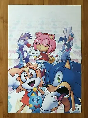 $29.99 • Buy Sonic The Hedgehog 2-Sided Poster Official Tracy Yardley Art Amy Rose Knuckles