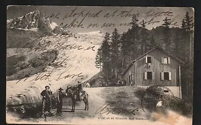 Antique Old Postcard Mountains Horse Glacier Chalet 1904 • $3.48