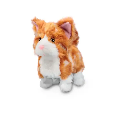 Ginger Kitten - 35405 Cat Fluffy Cute Pet Friend White Fur Furry Walking Talking • £17.75