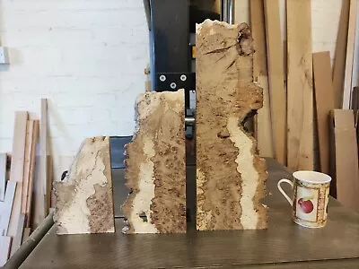 OAK BURR SECTIONS/LIVE EDGE HARDWOOD TIMBER 11mm THICK/ PLINTHS/FEATURES/crafts • £35