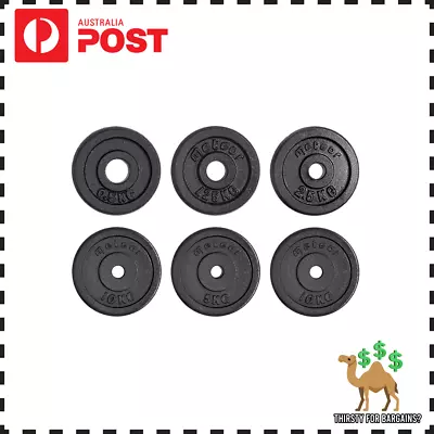 Essential Cast Iron Weight Plate - 25.4mm Hole Standard Size For Dumbbells • $40.95