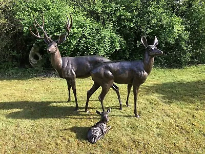 Stag Family In Cast Aluminium Life Size Bronze Finish Deer Stag Fawn Garden Set • £2518.95