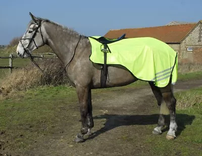 £26.75 • Buy MESH RIDE ON HI VIZ | Rhinegold Excercise Sheet BE SAFE And SEEN  Pony - X Full