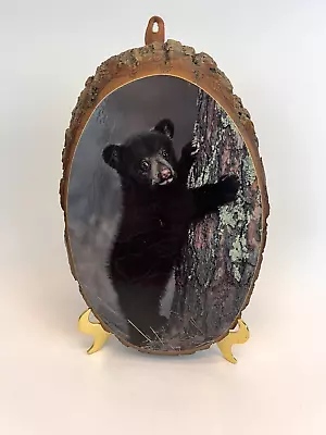 Vtg Wood Plaque Wall Hanging Rustic Cabin Bear On Tree Carlsbad NM • $12.95