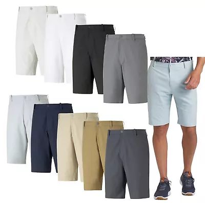 Puma Mens Dealer 10  Golf Shorts 535522 - New 2024 • $49.95