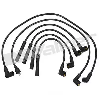 Spark Plug Wire Set-GAS Walker Products 924-1041 • $27.84