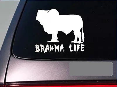 Brahma Life *E239* Sticker Decal Cattle Brahman Texas Beef Hamburger Stock Yard • $3.39