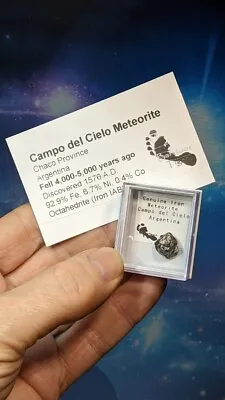 Genuine Iron Meteorite. Campo Del Cielo.  12mm. In Display Box With Info. • £14.97