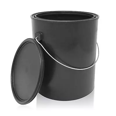 CSBD Empty Paint Can With Plastic Lid Gallon And Quart Sizes Unlined Multipurp • $25.95