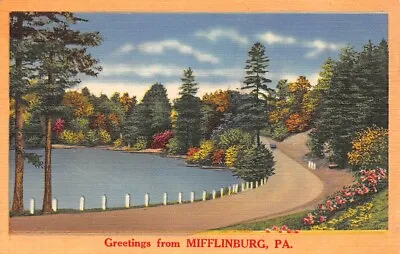 NYCE Quality Colored Landscape Locals Greetings From Mifflinburg Pa • $6.99