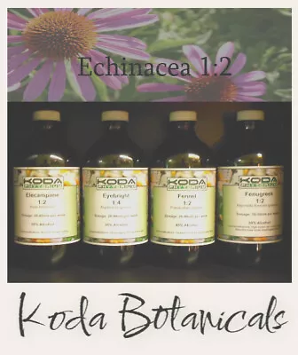 ECHINACEA Liquid Extract PREMIUM 1:2 TINCTURE Echinacea Purpurea Root • $29.90