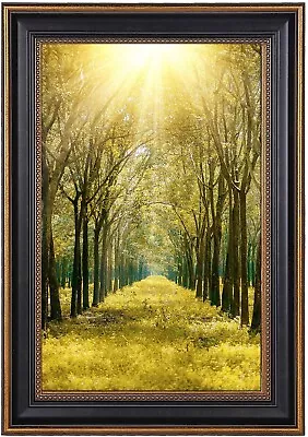 11x17 Poster Picture Frame Great For Landscape/ Portrait Photo Wall Mounting • $25.99