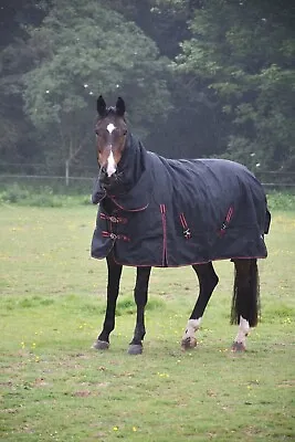 SALE  Rhinegold Aspen Full Neck Heavy Weight 350g Waterproof Horse Turnout Rug  • £62.95