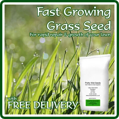 Fast Growing Lawn Grass Seed Rapid Growing Patching & Repair Of Lawns 2kg • £12.99