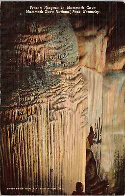 Frozen Niagara Mammoth Cave National Park Kentucky Vintage Postcard Unposted Vtg • $2.75