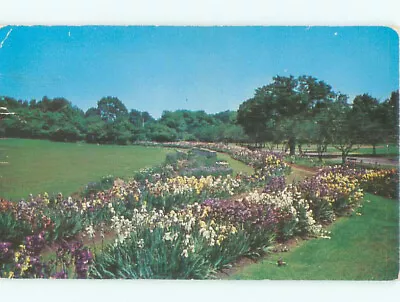 Pre-1980 GARDEN SCENE Montclair New Jersey NJ AF6479 • $2.99