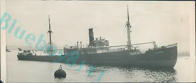 £10.92 • Buy Cargo Ship SS Elfrida On River Tyne Original Press Photo 