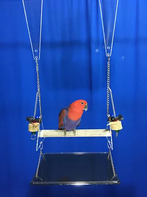 BEST PARROT BIRD SWING INDESTRUCTABLE PERCH TRIMS BEAKS NAILS W/cp Tray Toys • $130