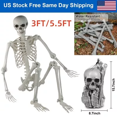 Halloween Decor Human Skeleton Bones Life Size Poseable In/Outdoor Horror Prop • $25.86