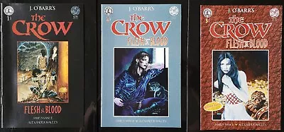 The Crow Flesh & Blood 1-3 Complete Kitchen Sink Comix J. O'Barr's Copy 2 • $39.99