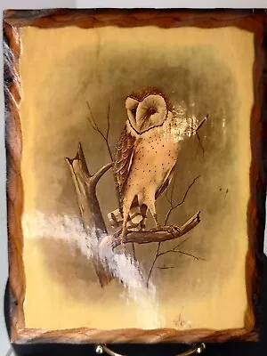 Vintage Owl Decoupage Wood Shellac Wall Hanging Plaque • $12