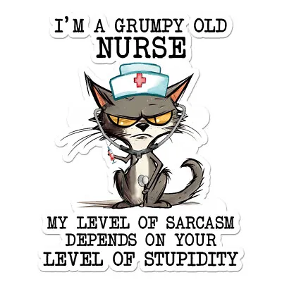 Grumpy Nurse Sarcasm Vinyl Decal Sticker - Ebn9687 • $5.07