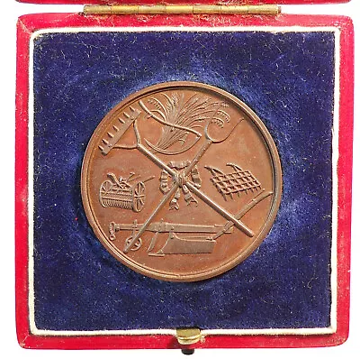 Great Britain AGRICULTURAL MEDAL Bronze 39mm • $60