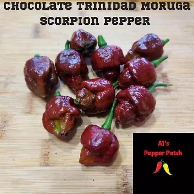 12 Trinidad Moruga Scorpion Hot Peppers (Chocolate) Seeds • $3.50