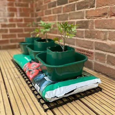 Tomato Growbag Watering Pots Growpot (Set Of 3) Tomatoes Vegetables  • £11.99