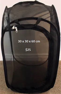  Black Pop-up Insect Cage Medium 30 X 30 X 60cm • $25