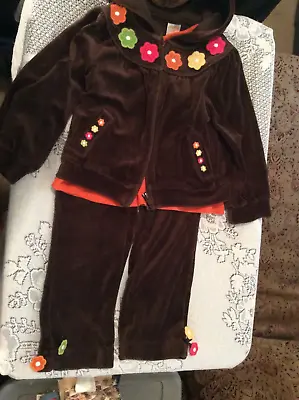 Gymboree Fall For Autumn Flower Smocked Swing Top Flower Velour Jacket And Pants • $39.99