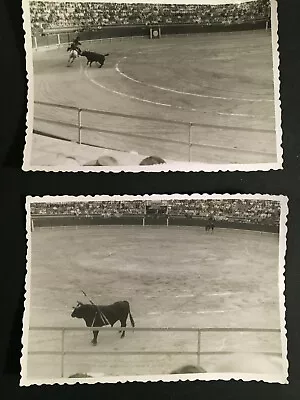 Vintage Unusual B&W Photos Of Bull Fight In Arena #3674 • $7.99