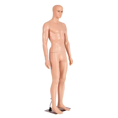 Full Body Mannequin Torso Manikin 184 Cm Realistic Male Shop Window Display • £99.95