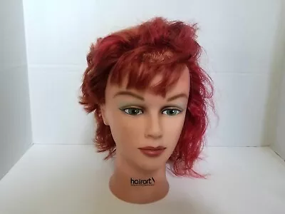 Hairart Cosmetology Mannequin Head 100% Human Hair • $24.24