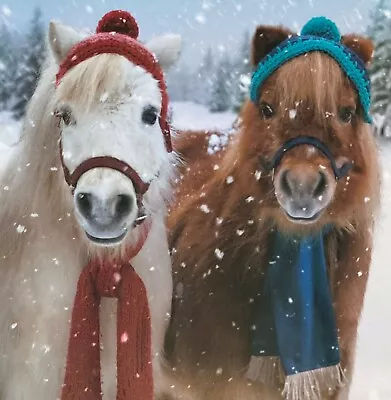 Snowy Ponies ~2 Horses In Woollies ~ Cute ~ Avanti Christmas Card ~ SINGLE CARD • £2.25